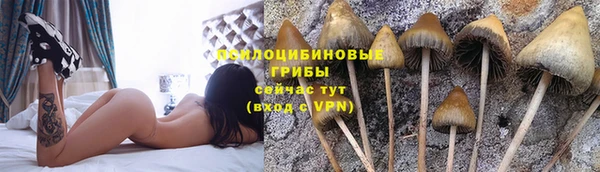прущий лед Заволжье